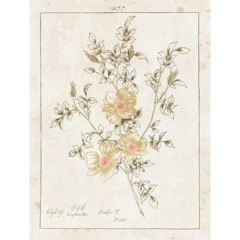 Flowers on White II with Words Gold Ornate Wood Framed Art Print with Double Matting by Wild Apple Portfolio