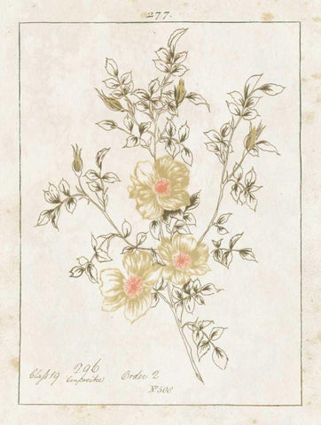 Flowers on White II with Words White Modern Wood Framed Art Print with Double Matting by Wild Apple Portfolio