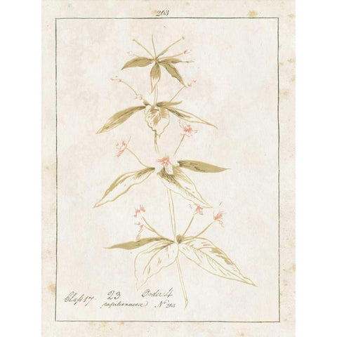 Flowers on White III with Words Black Modern Wood Framed Art Print by Wild Apple Portfolio