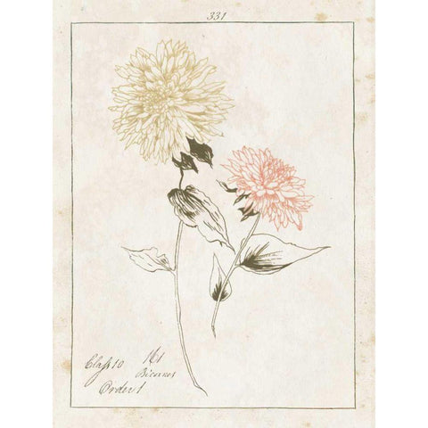 Flowers on White IV with Words Black Modern Wood Framed Art Print by Wild Apple Portfolio