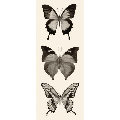 Butterfly BW Panel I White Modern Wood Framed Art Print by Van Swearingen, Debra