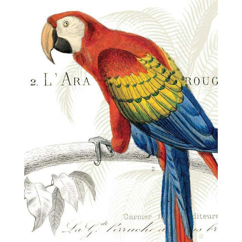 Parrot Botanique II Gold Ornate Wood Framed Art Print with Double Matting by Wild Apple Portfolio