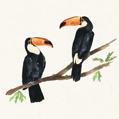 Tropical Fun Bird I Black Modern Wood Framed Art Print with Double Matting by Sussman, Harriet