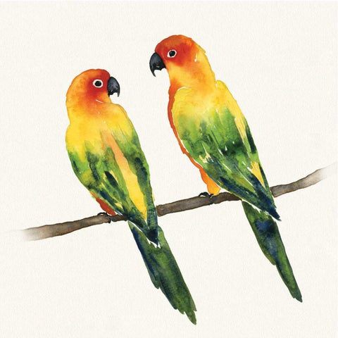 Tropical Fun Bird III Black Modern Wood Framed Art Print with Double Matting by Sussman, Harriet