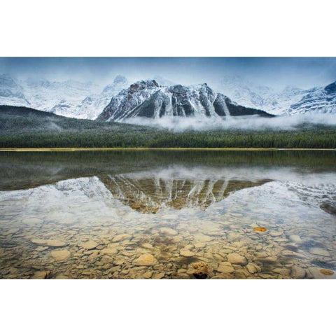 Waterfowl Lake I White Modern Wood Framed Art Print by Audit, Lisa