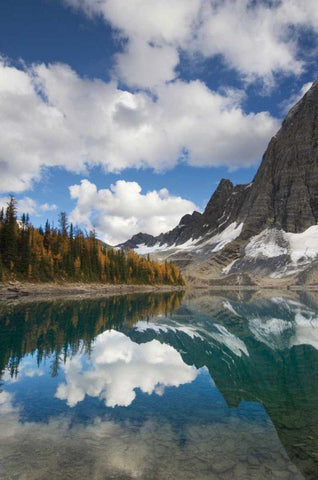 Floe Lake Reflection I White Modern Wood Framed Art Print with Double Matting by Majcrowicz, Alan