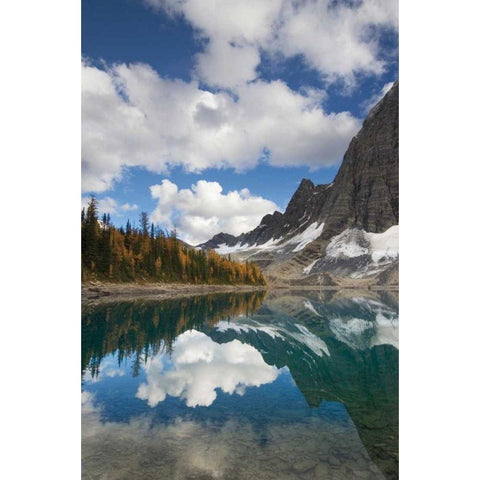 Floe Lake Reflection I Gold Ornate Wood Framed Art Print with Double Matting by Majcrowicz, Alan
