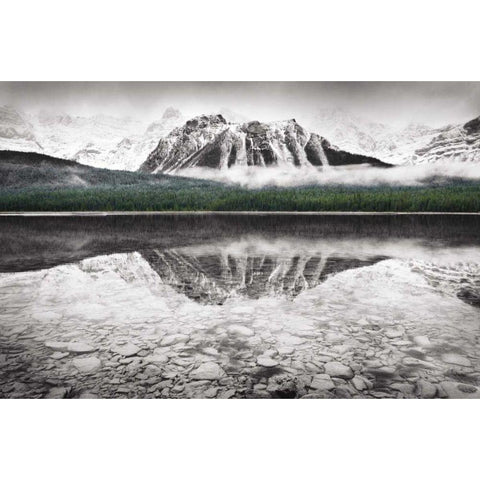 Waterfowl Lake I BW with Color White Modern Wood Framed Art Print by Audit, Lisa