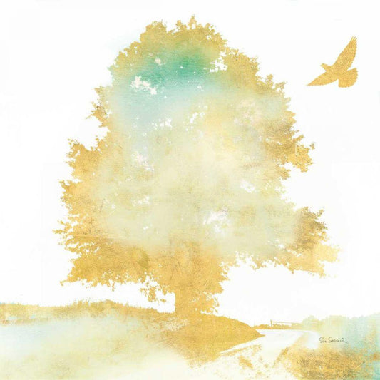 Image Only