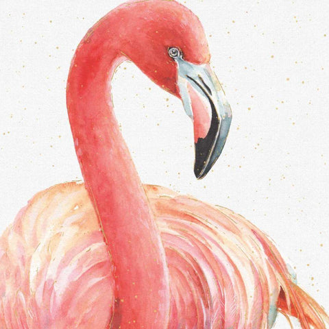 Gracefully Pink II Black Modern Wood Framed Art Print by Audit, Lisa