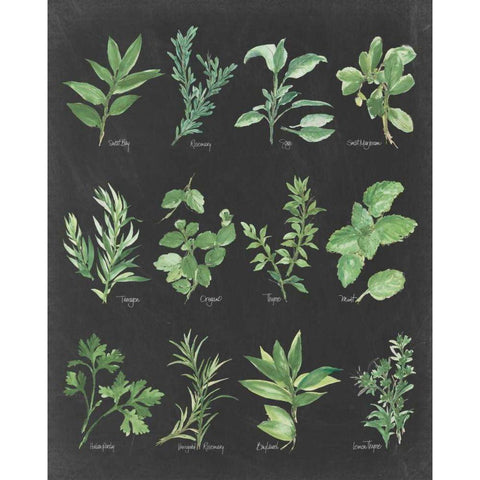 Herb Chart on Black White Modern Wood Framed Art Print by Paschke, Chris