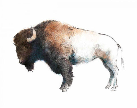 Colorful Bison Dark Brown White Modern Wood Framed Art Print with Double Matting by Tillmon, Avery