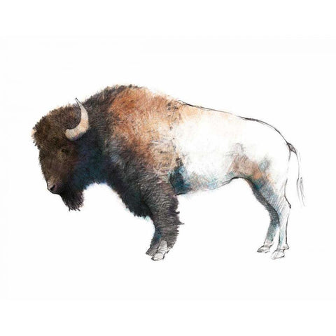 Colorful Bison Dark Brown Black Modern Wood Framed Art Print with Double Matting by Tillmon, Avery