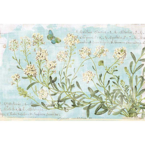 Botany Blue I Gold Ornate Wood Framed Art Print with Double Matting by Schlabach, Sue