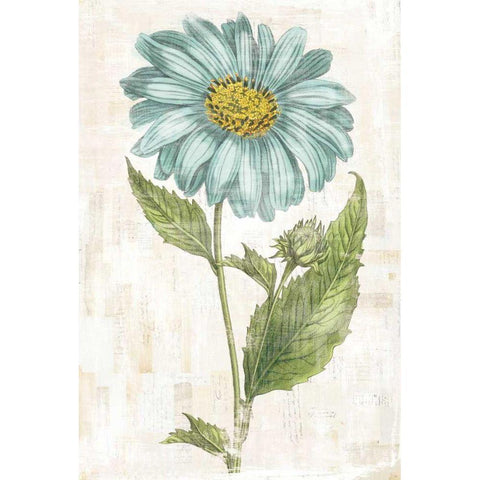 Bloemen Boek VI Gold Ornate Wood Framed Art Print with Double Matting by Schlabach, Sue