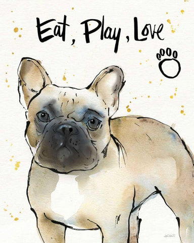 Strike a Paws VII White Modern Wood Framed Art Print with Double Matting by Tavoletti, Anne