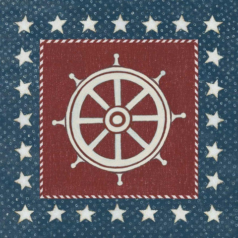 Coastal Americana IV Black Modern Wood Framed Art Print with Double Matting by Brown, David Carter