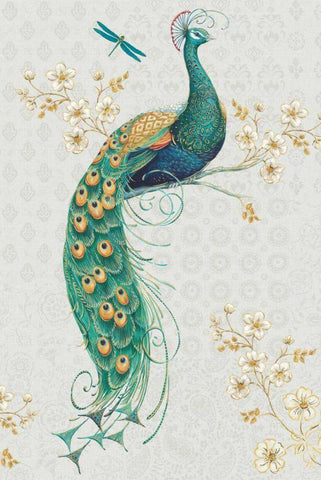 Ornate Peacock IXA Black Ornate Wood Framed Art Print with Double Matting by Brissonnet, Daphne
