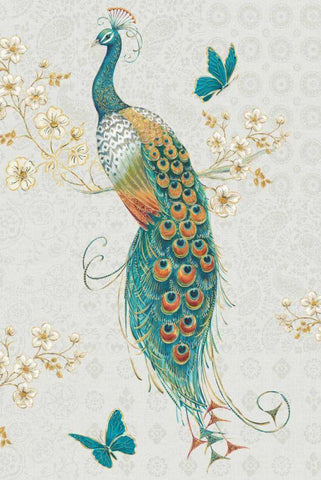 Ornate Peacock IXA Black Ornate Wood Framed Art Print with Double Matting by Brissonnet, Daphne