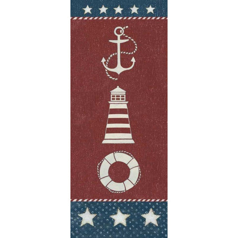 Coastal Americana Panel I Black Modern Wood Framed Art Print with Double Matting by Brown, David Carter