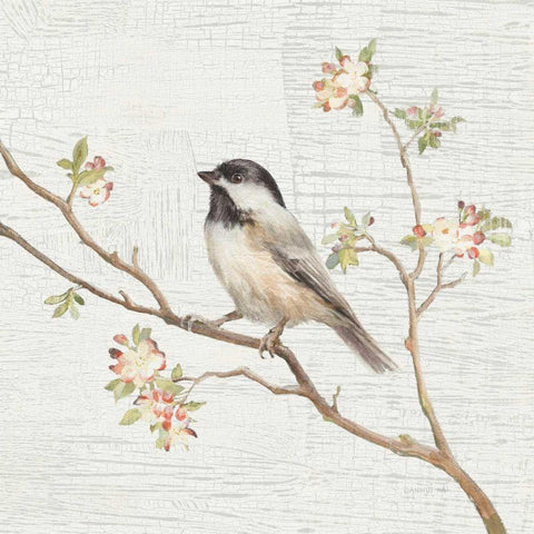 Black Capped Chickadee Vintage Black Ornate Wood Framed Art Print with Double Matting by Nai, Danhui