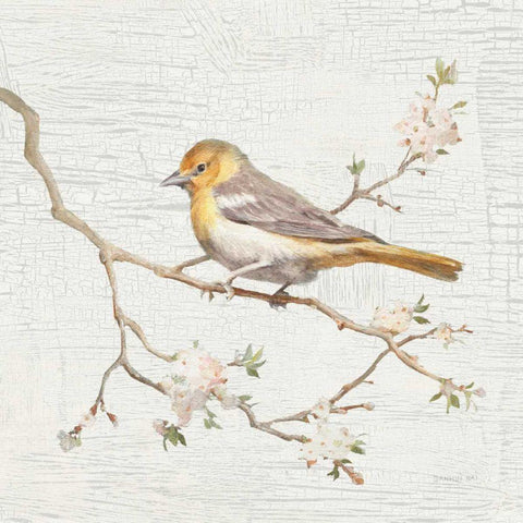 Northern Oriole Vintage Gold Ornate Wood Framed Art Print with Double Matting by Nai, Danhui