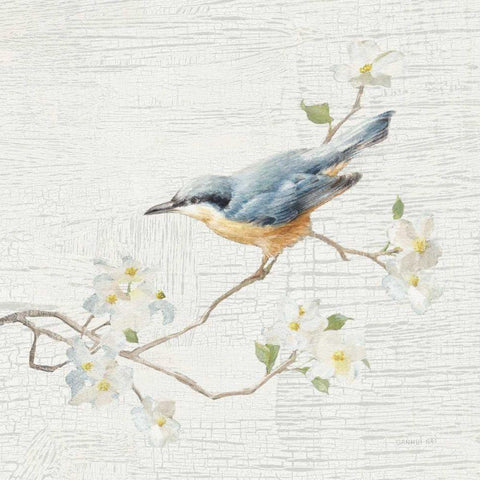 Nuthatch Vintage White Modern Wood Framed Art Print with Double Matting by Nai, Danhui