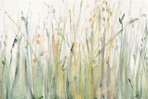 Spring Grasses I White Modern Wood Framed Art Print with Double Matting by Tillmon, Avery