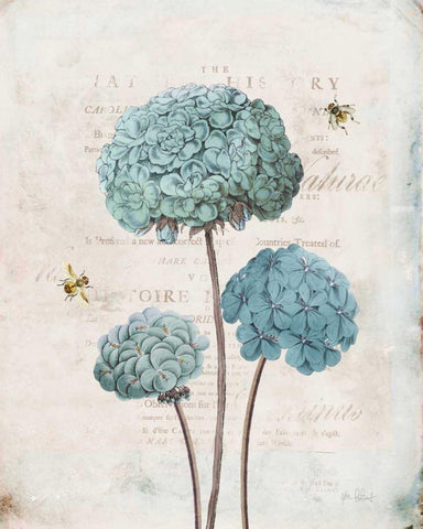 Geranium Study I Black Ornate Wood Framed Art Print with Double Matting by Pertiet, Katie