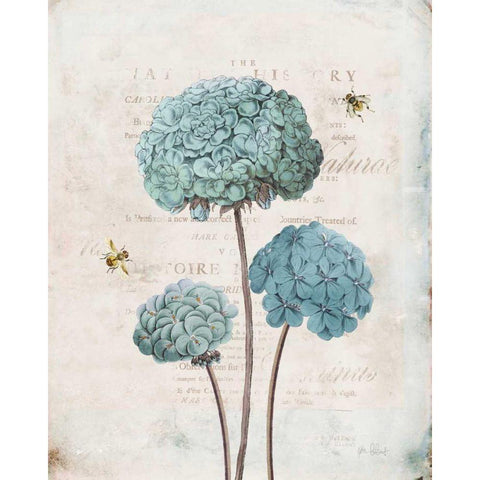 Geranium Study I White Modern Wood Framed Art Print by Pertiet, Katie