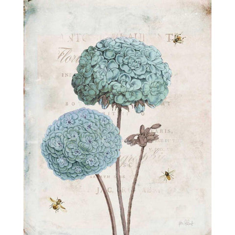 Geranium Study II Black Modern Wood Framed Art Print by Pertiet, Katie