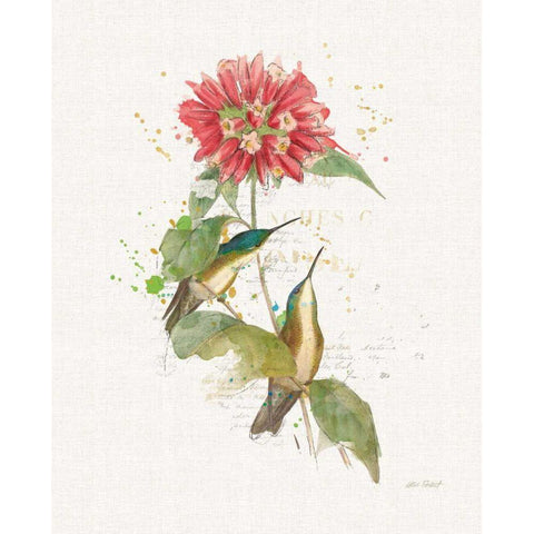 Colorful Hummingbirds I Black Modern Wood Framed Art Print with Double Matting by Pertiet, Katie