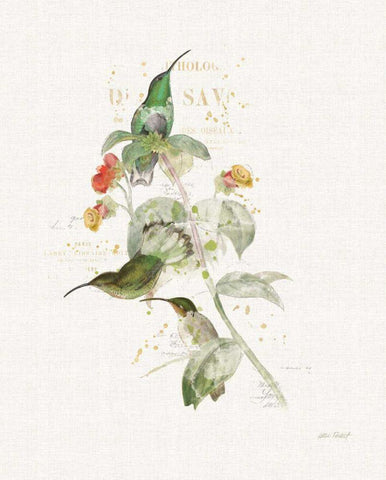 Colorful Hummingbirds III White Modern Wood Framed Art Print with Double Matting by Pertiet, Katie