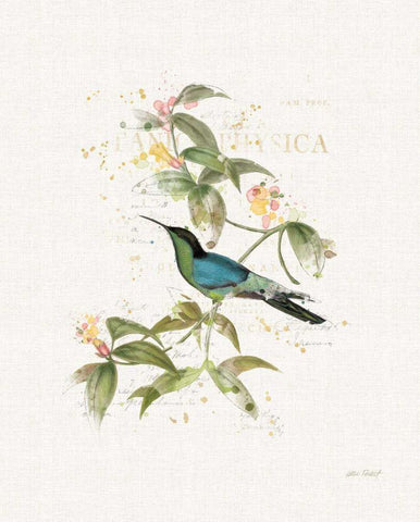 Colorful Hummingbirds IV White Modern Wood Framed Art Print with Double Matting by Pertiet, Katie