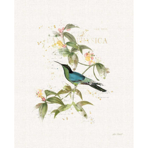 Colorful Hummingbirds IV Black Modern Wood Framed Art Print by Pertiet, Katie