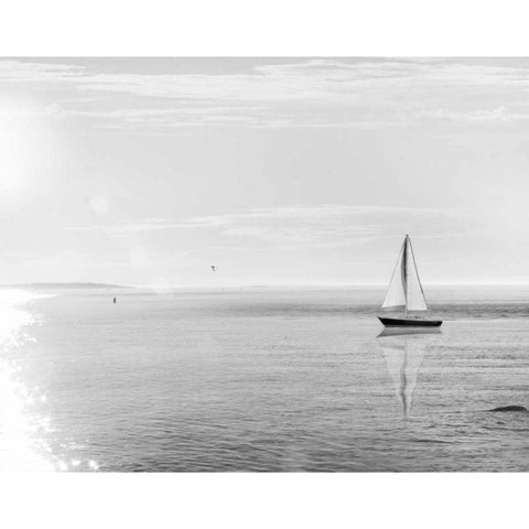 Evening Sail Black and White Crop Gold Ornate Wood Framed Art Print with Double Matting by Schlabach, Sue