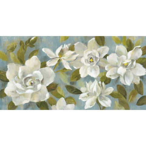 Gardenias on Slate Blue Black Modern Wood Framed Art Print with Double Matting by Vassileva, Silvia