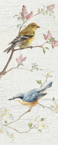 Vintage Birds Panel I White Modern Wood Framed Art Print with Double Matting by Nai, Danhui