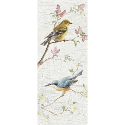 Vintage Birds Panel I White Modern Wood Framed Art Print by Nai, Danhui