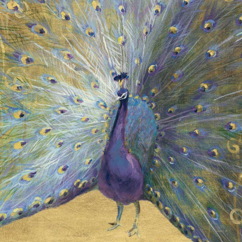 Purple and Gold Peacock Black Ornate Wood Framed Art Print with Double Matting by Nai, Danhui