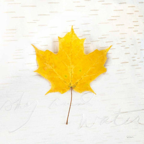 Autumn Colors II White Modern Wood Framed Art Print by Schlabach, Sue