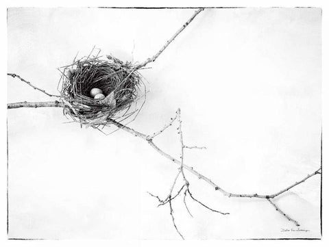 Nest and Branch I v2 White Modern Wood Framed Art Print with Double Matting by Van Swearingen, Debra