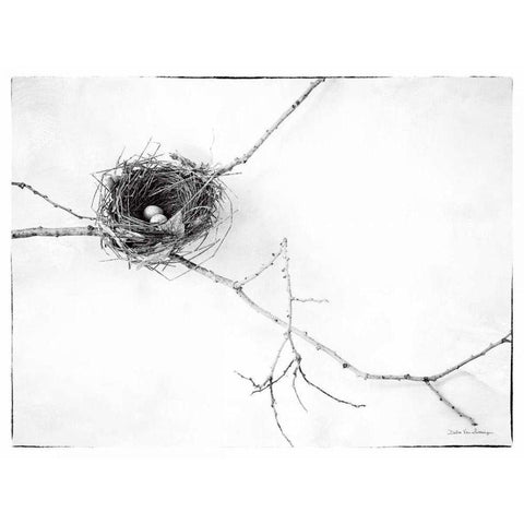 Nest and Branch I v2 Black Modern Wood Framed Art Print with Double Matting by Van Swearingen, Debra