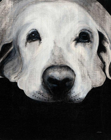 Sparta I Crop Black Ornate Wood Framed Art Print with Double Matting by Ducklow, Patsy