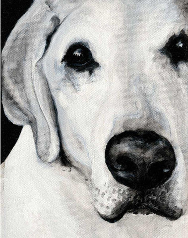 Sparta II White Modern Wood Framed Art Print with Double Matting by Ducklow, Patsy