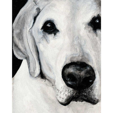 Sparta II White Modern Wood Framed Art Print by Ducklow, Patsy