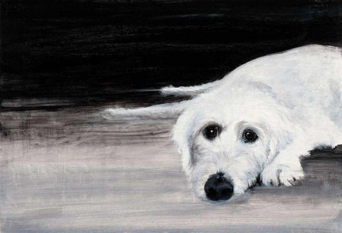 Zena II White Modern Wood Framed Art Print with Double Matting by Ducklow, Patsy