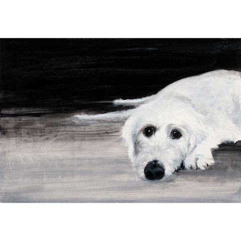 Zena II Black Modern Wood Framed Art Print by Ducklow, Patsy