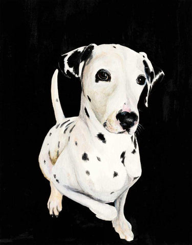 Dakota I Black Ornate Wood Framed Art Print with Double Matting by Ducklow, Patsy