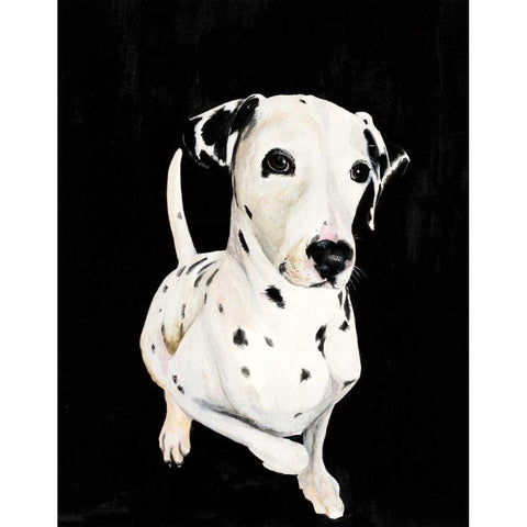 Dakota I Black Modern Wood Framed Art Print by Ducklow, Patsy